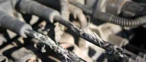 Cómo mantener a los roedores lejos del carro
