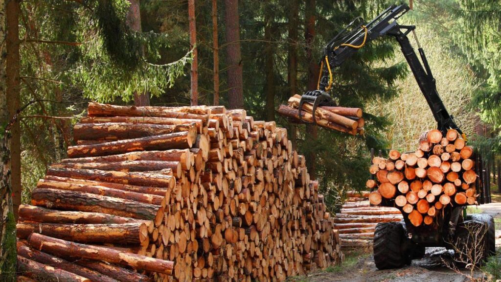 madera