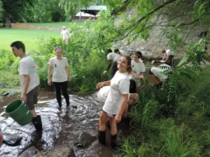 voluntarios removiendo plantas invasoras en la comunidad