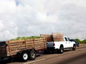 Camión transportando productos agrícolas desde zonas rurales hacia centros de distribución locales.